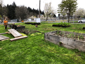 Sitton Elementary raised beds being moved