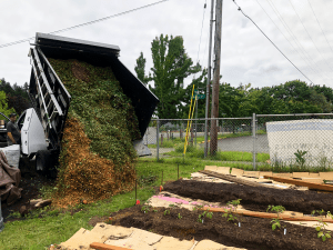 Wood chips being dumped from a dump truck