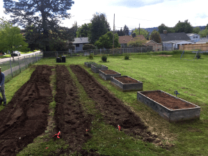 Sitton Elementary South facing view of the beds