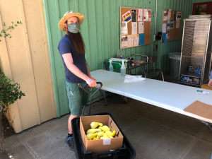 Farmer in a mask with a wagon full of yellow squash