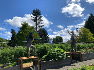 Two men standing on wooden work tables in a garden