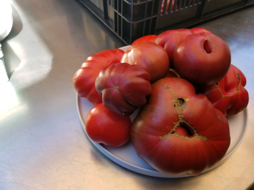 A mound of heirloom tomatoes on a white plate