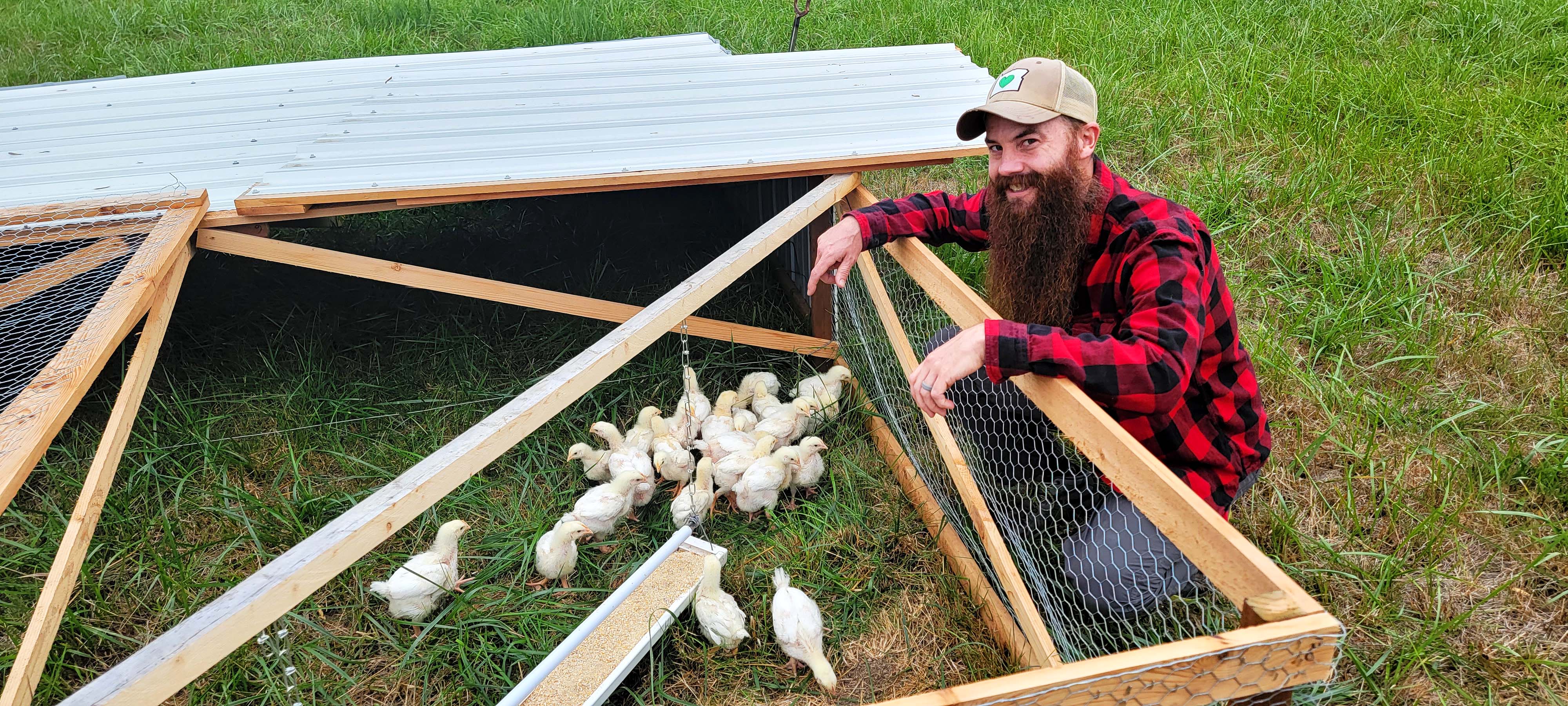 Bearded man crouched near a pastured poultry cart full of cornish cross chicks.